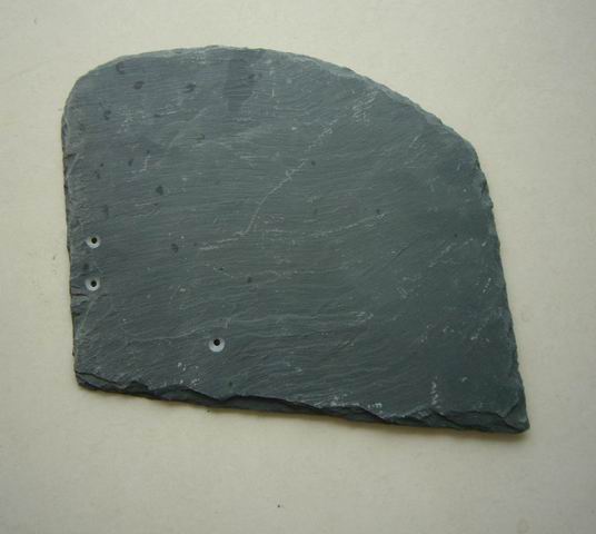 Special Semi-round Tongue